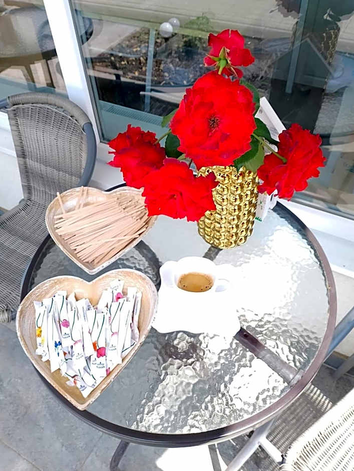 Premont Studios Ghimbav