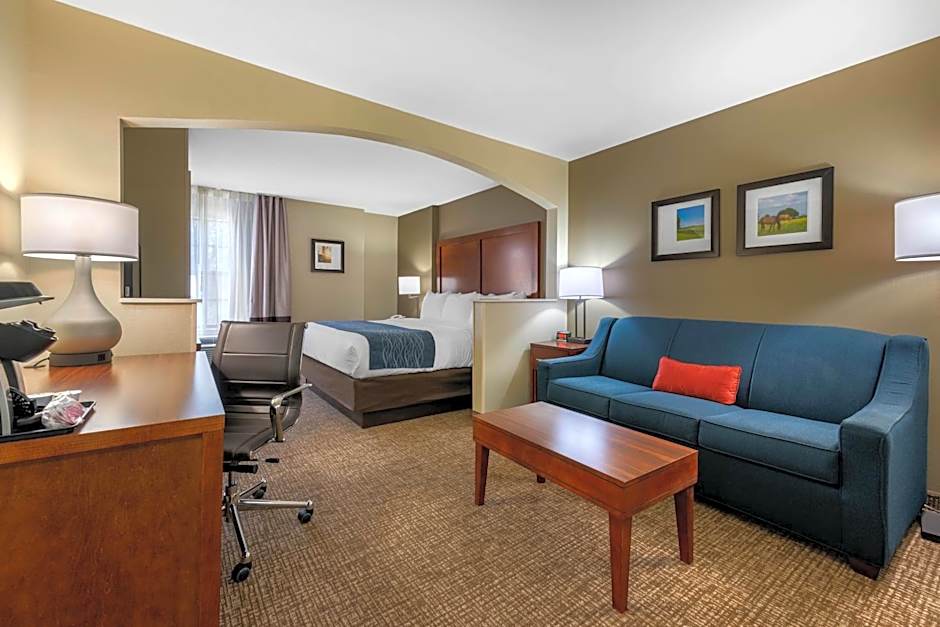 Comfort Inn Ocala Silver Springs