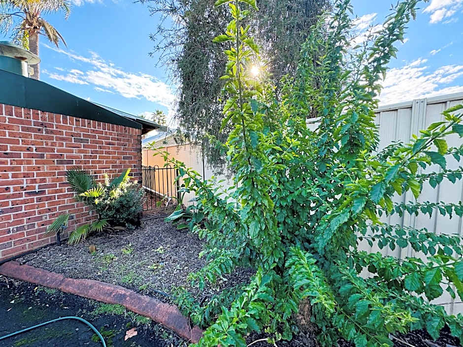 Town and Country Motor Inn