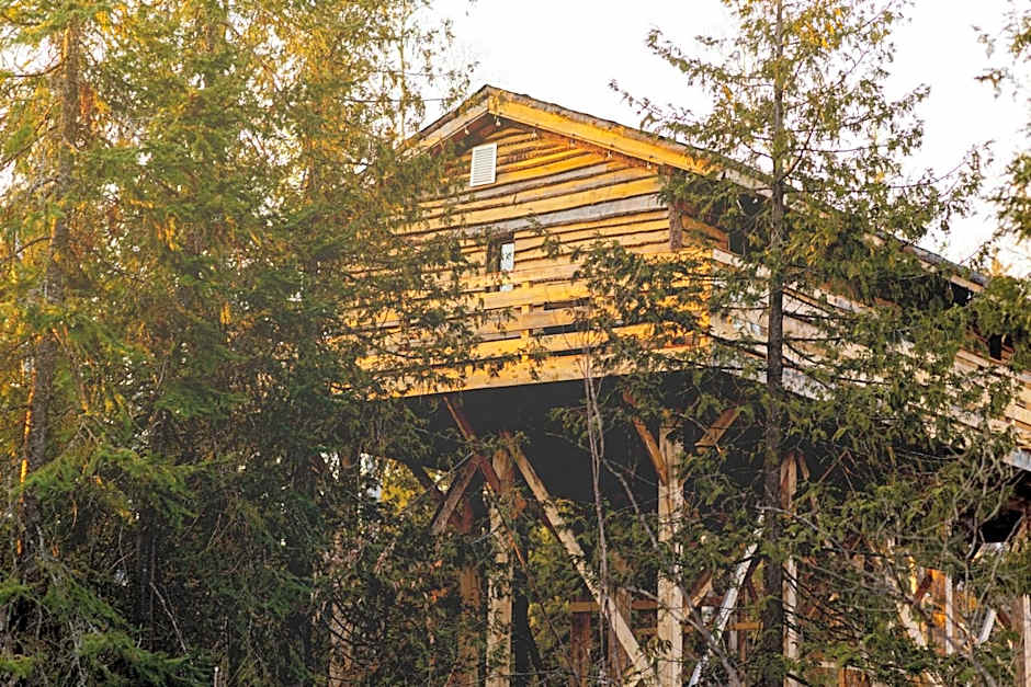 Entre Lemoine et l'arbre