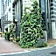 Asano Hotel