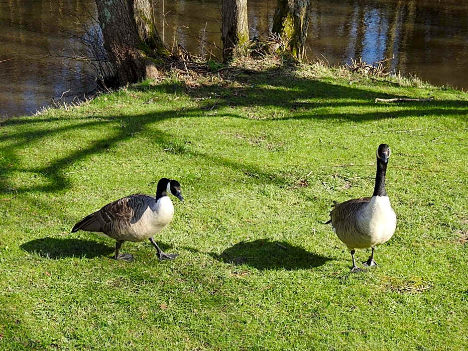 Warren Wood Country Park