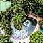 Baldi Hot Springs Hotel & Spa