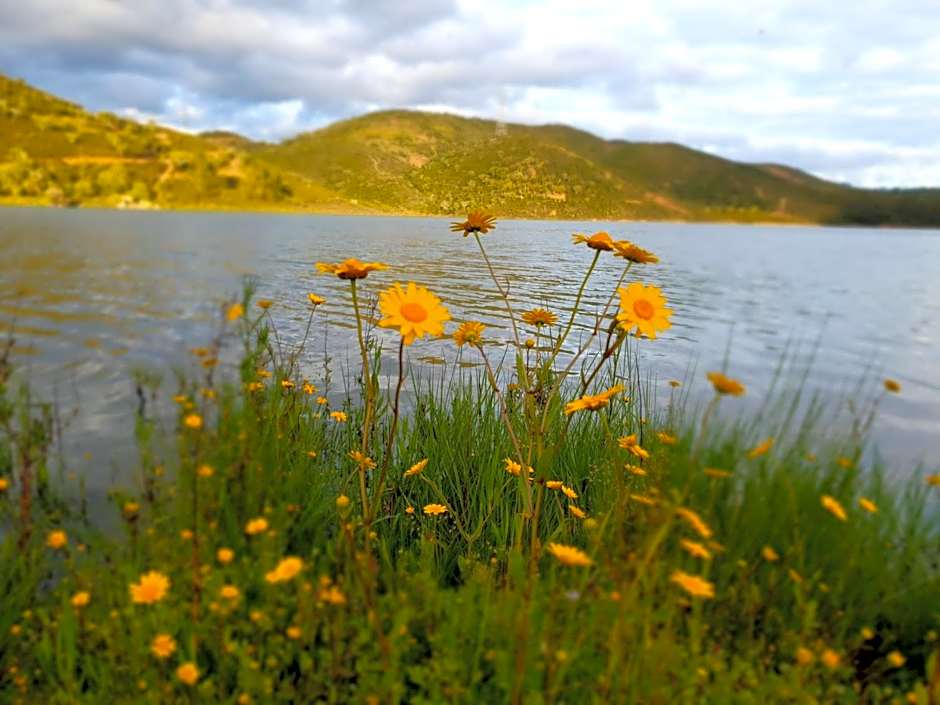 Quinta Pedra Dos Bicos