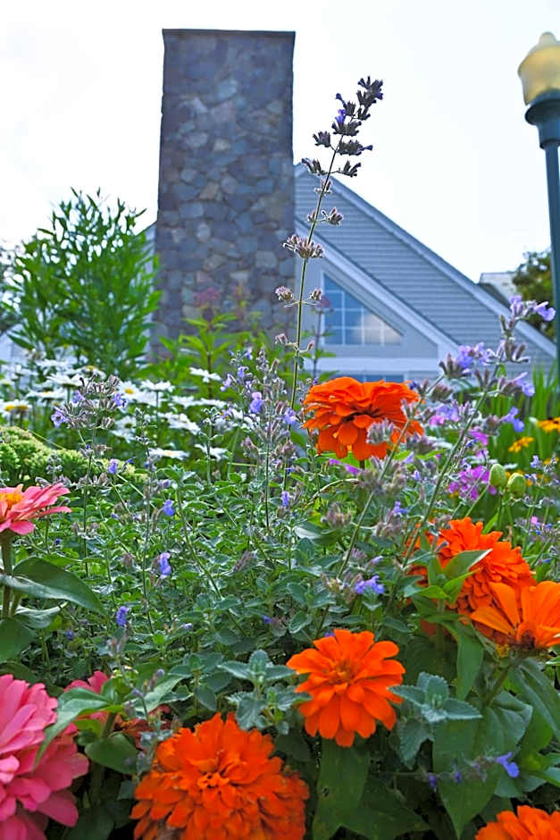 The Lodge at Jackson Village