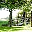 Kingston Country Courtyard