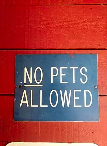 Super 8 by Wyndham Taos