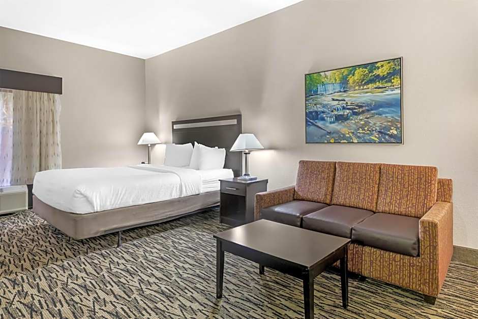 Best Western Plus McDonough Inn & Suites