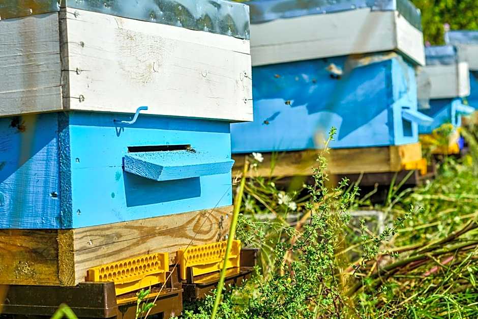 Zornitza Family Estate Relais & Chateaux