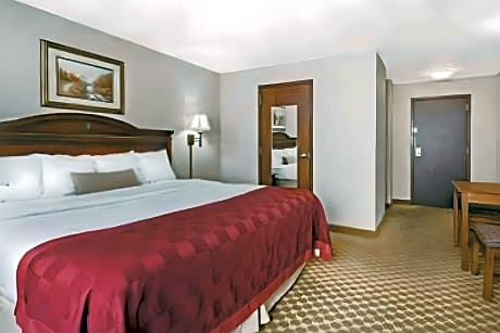 1 King Bed Business Room Non-Smoking