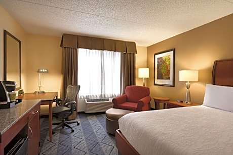 King Room with Roll-In Shower - Mobility Access