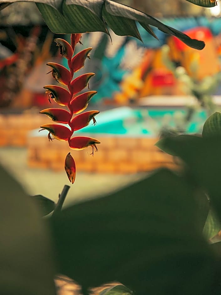 Casa Antônia - Pousada Boutique