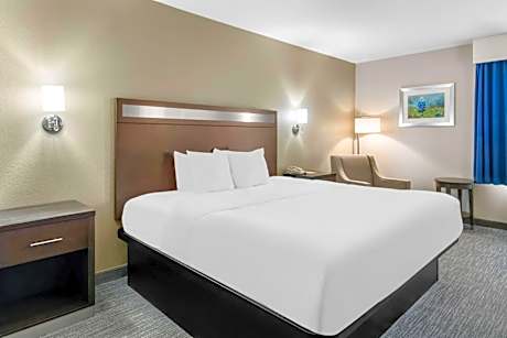 King Room with Walk-In Shower - Mobility Access