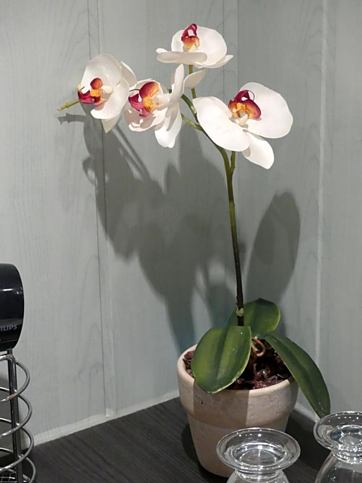 Chambres d'hôtes Les Gragniotes