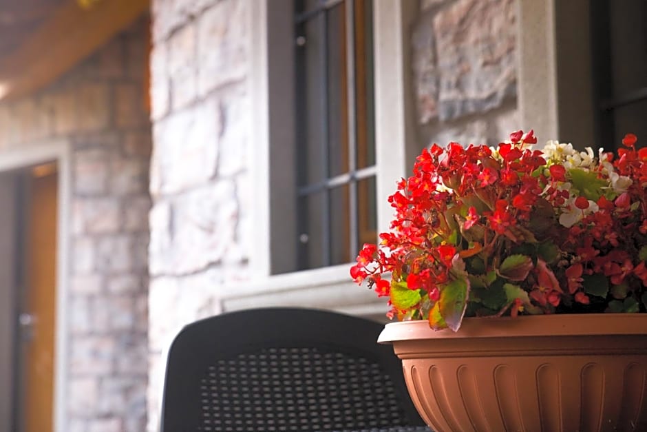 B&B San Pellegrino Terme