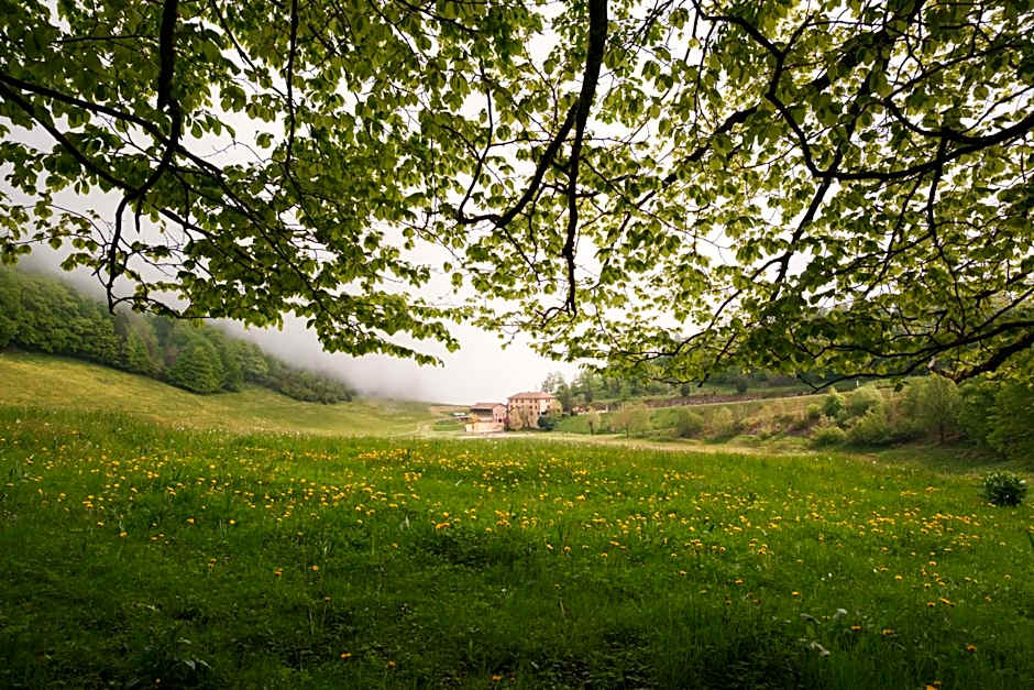 Hostel Quartier Libre