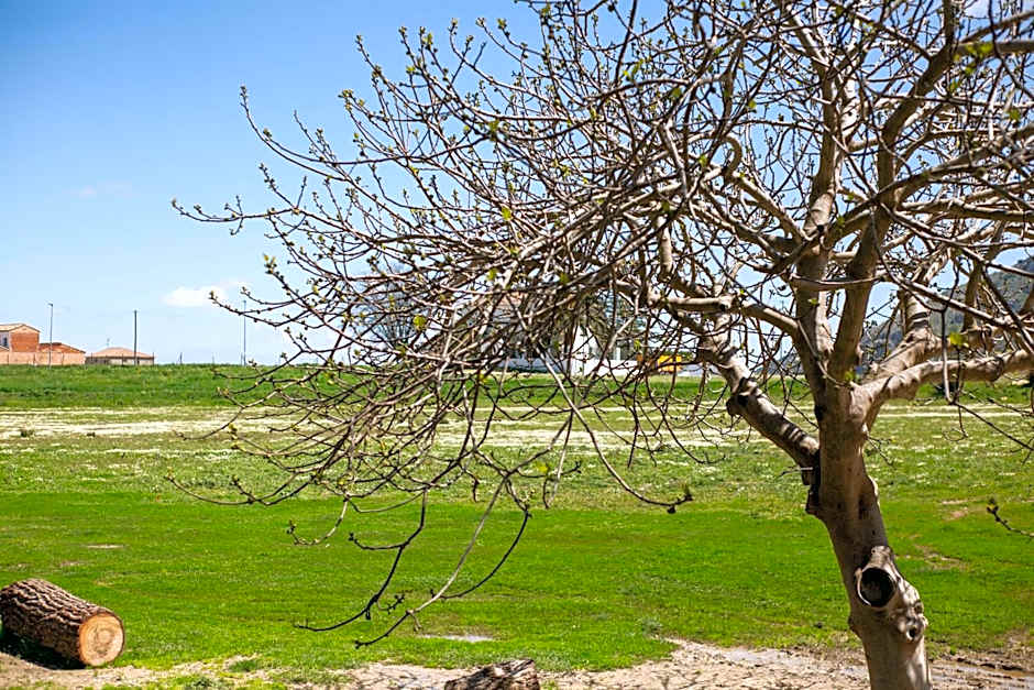 Hotel Rural El Castillejo - A 15 min de Ronda