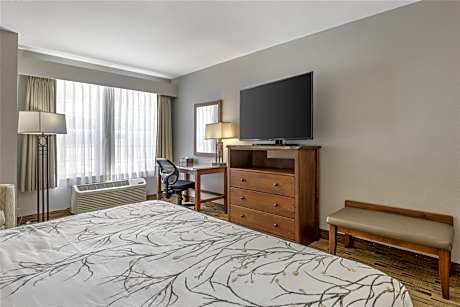 1 King Mobility Access Comm Assist Roll In Shower Microwave Fridge Wi-Fi NSMK Continental Breakfast