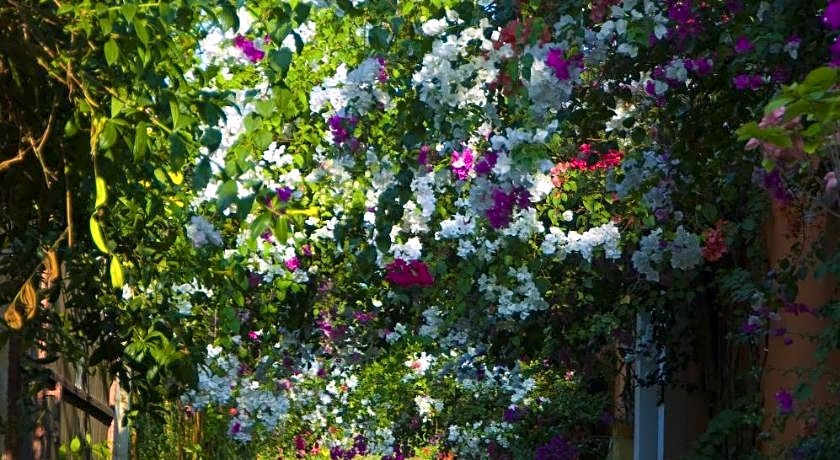 Villa Bali Asri Seminyak