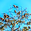Palala Boutique Game Lodge and Spa