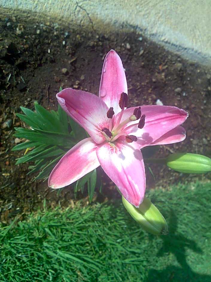 Kwa-Eden Hotels and Conferencing