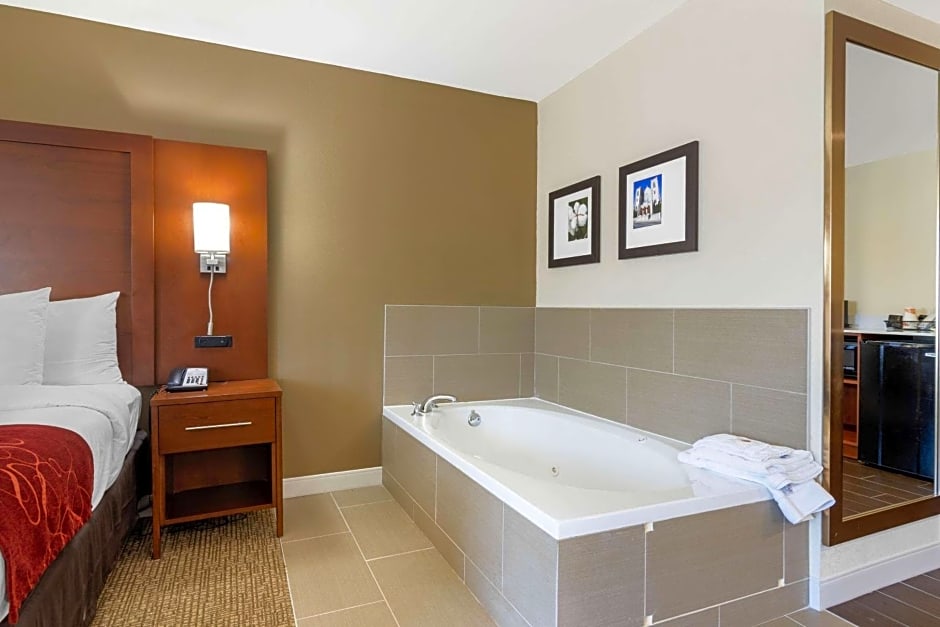 Comfort Inn & Suites Macon West