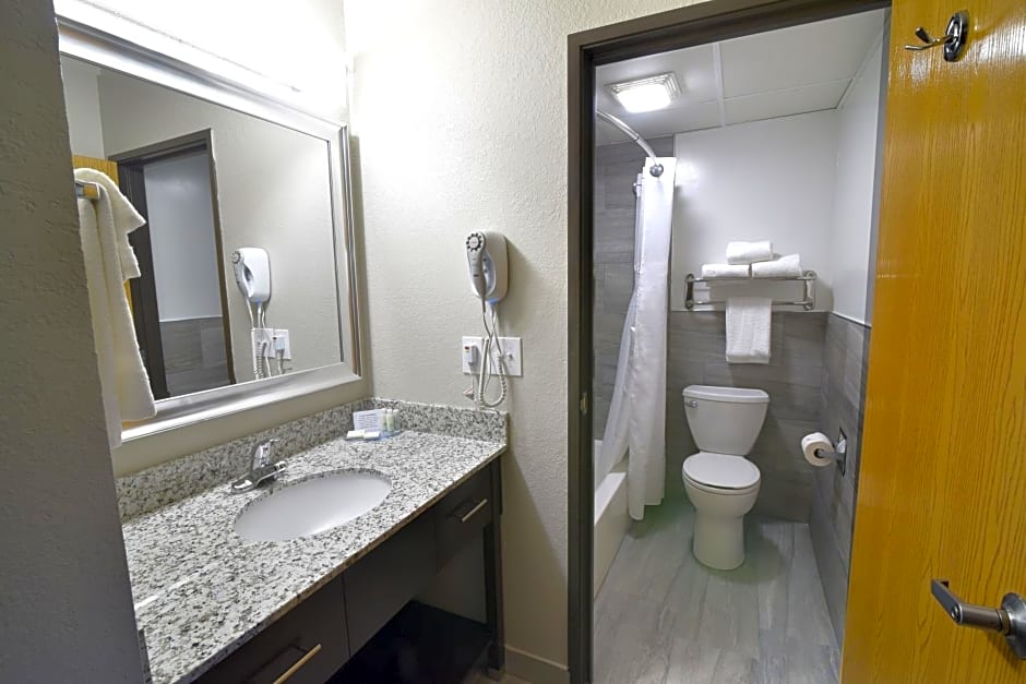 Best Western PLUS Flint Airport Inn & Suites