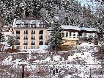 Waldhotel Feldbachtal