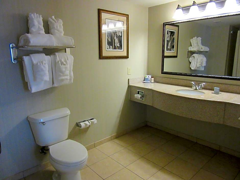 Wingate By Wyndham Charleston – North Charleston, SC