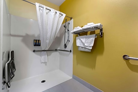 1 King Bed, Mobility Accessible, Communication Assistance, Roll In Shower, Non-Smoking, Full Breakfa