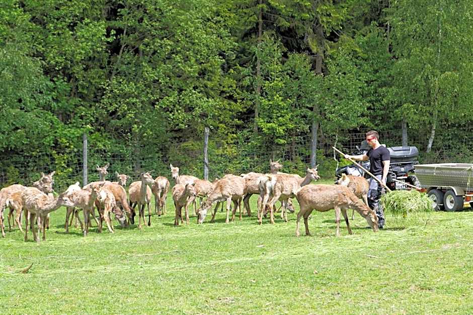 Osserhotel - B&B am Osser