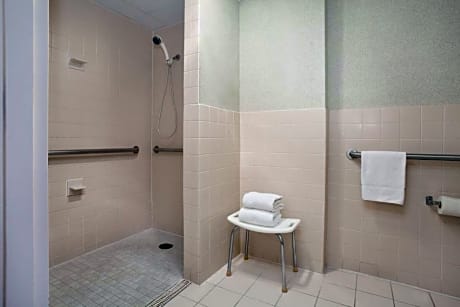 1 King Bed Non-Smoking