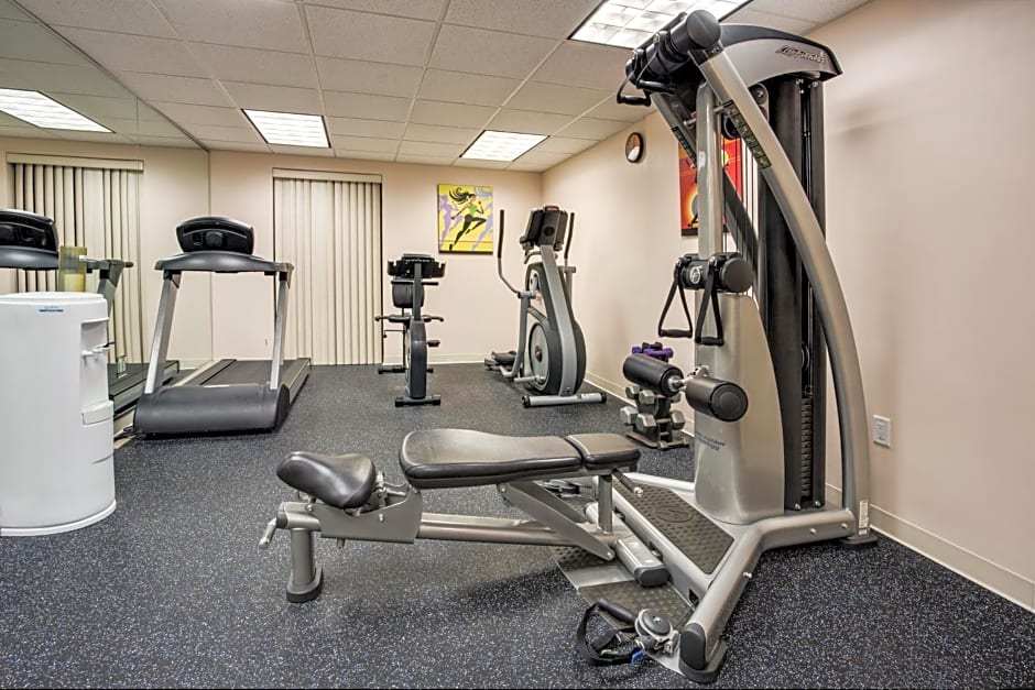 Holiday Inn Express Hotel & Suites Tampa-Oldsmar by IHG