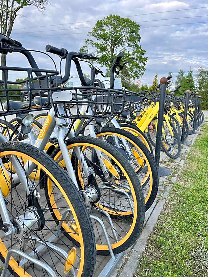 Słonecznikowa Dolina