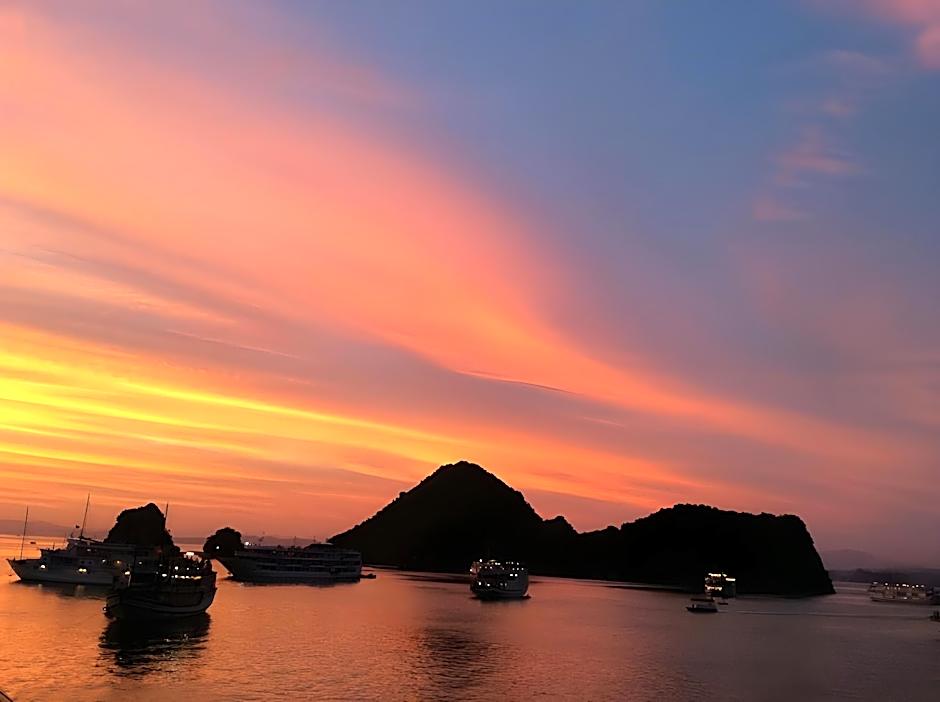 Halong Paloma Cruise