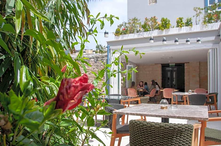 S Paul City Hotel