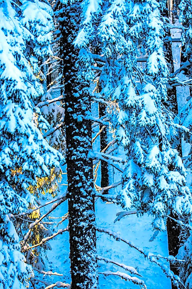 Sunny Hills Ski&Wellness