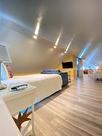 Bi Level Attic Suite