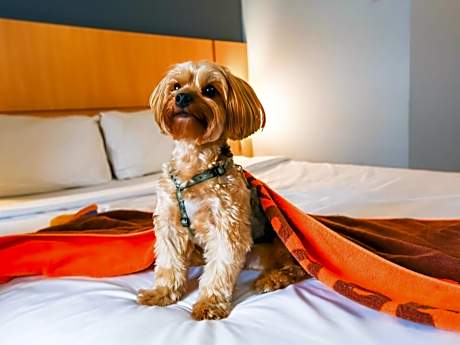 ibis Rio de Janeiro Nova America