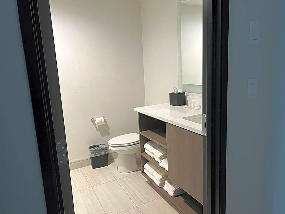 Comfort Inn & Suites New Port Richey Downtown District