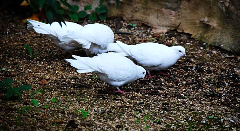Jacobs Creek Retreat at Moorooroo Park