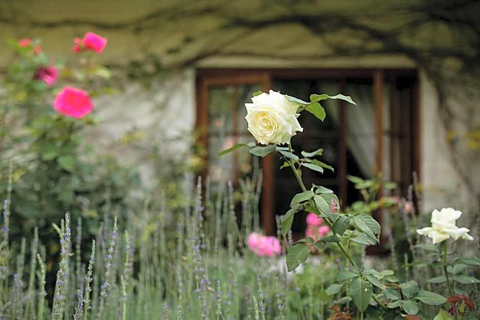Grace Guest House