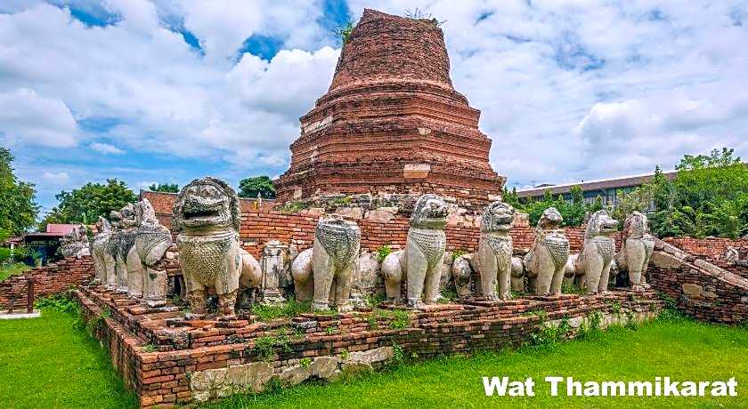 Early Bird Hostel Ayutthaya