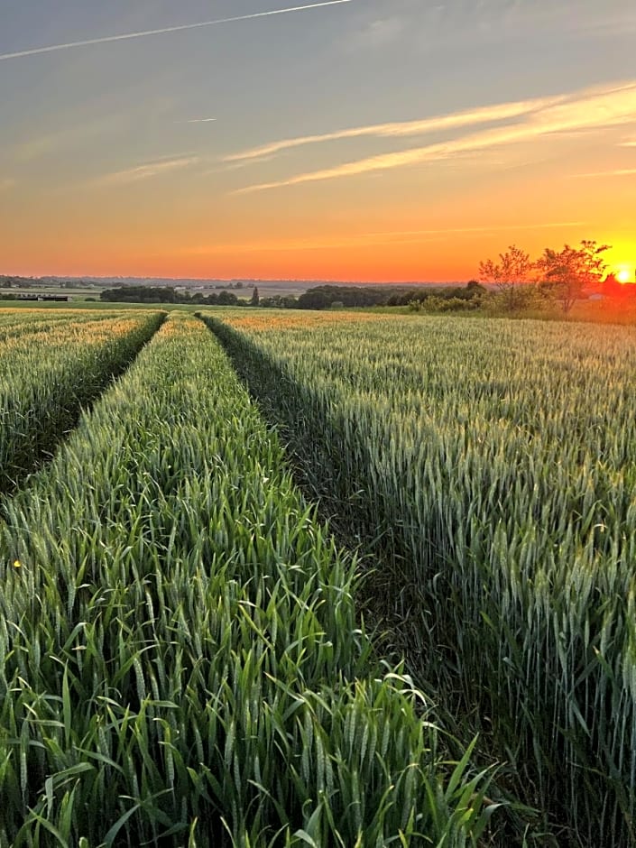 A l'ombre du Tilleul