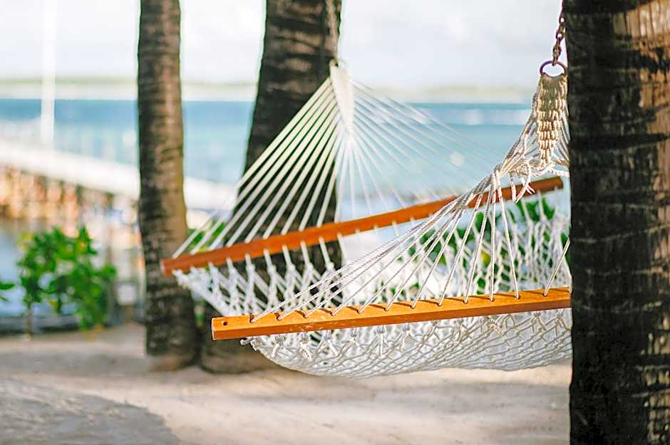 Tropical Attitude - Adults Only