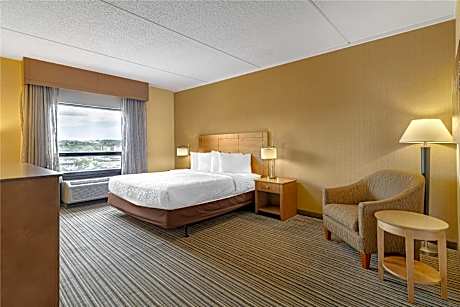 King Room - Pet Friendly/Non-Smoking