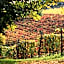 Cascina Tre Botti