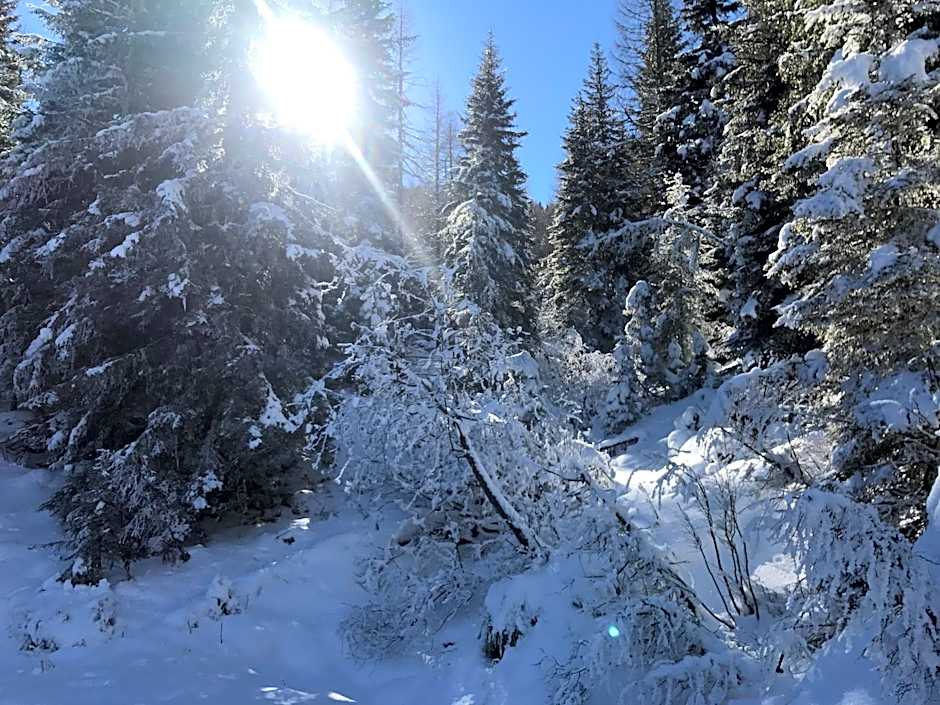 Almhaus & Almchalet Flattnitz