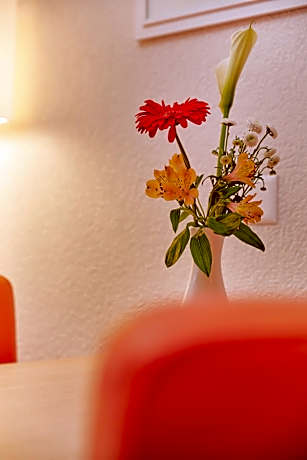 Studio with Lake View