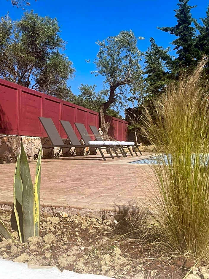 Nissi Collection Rooms